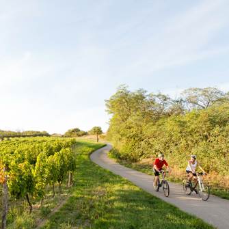 Whether on foot, on two or four wheels - experience something special on your summer vacation Cyclists in the wine region