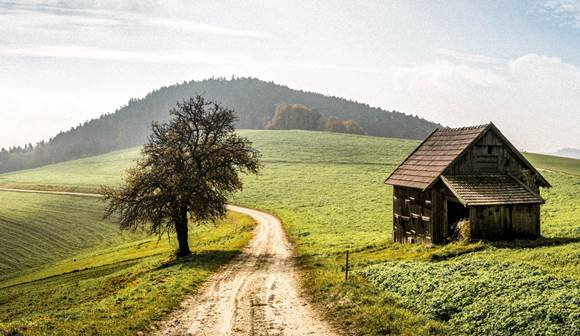 Erkunden Sie die idyllische Landschaft Niederösterreichs Hütte und Baum an Pfad in Hügellandschaft
