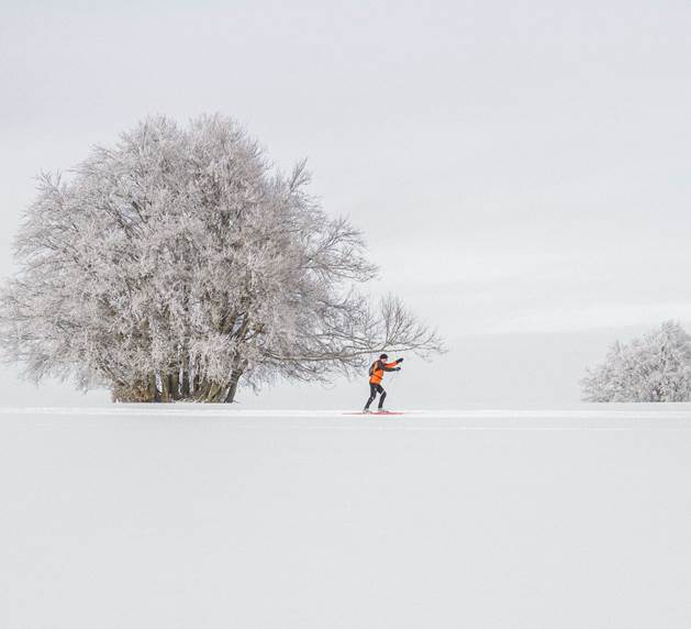 Gut gespurte Langlaufloipen erwarten Sie in den Wiener Alpen Langläufer in Winterlandschaft