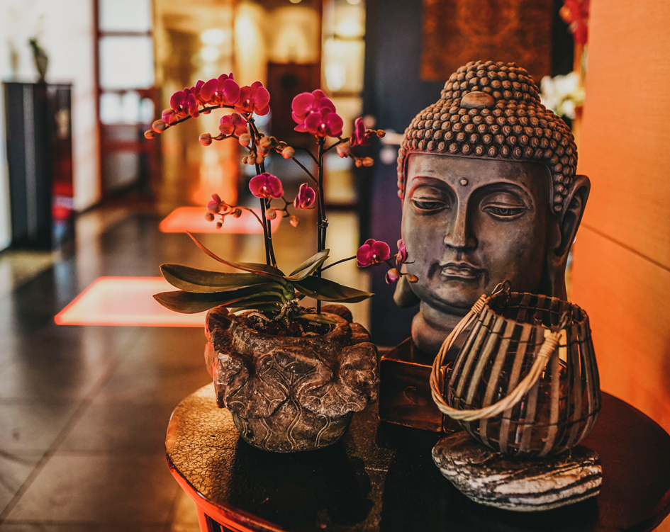 Erleben Sie das stimmige Ensemble aus Freundlichkeit, Service, Ambiente und Baustil Tisch mit Orchidee, Buddhakopf und Laterne