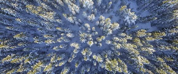 Genießen Sie die Ruhe beim Wandern durch die verschneite Winterlandschaft Schneebedeckter Wald von oben