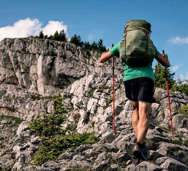 Erkunden Sie die Natur der sowohl malerischen als auch hochalpinen Wiener Alpen Wanderer am Berg