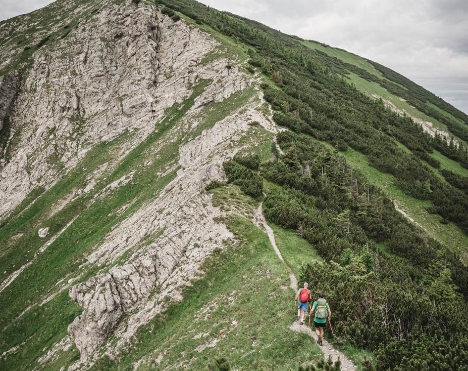 Erkunden Sie die nahegelegenen Wiener Alpen in ihren vielen Facetten Wanderer unterwegs Richtung Bergspitze