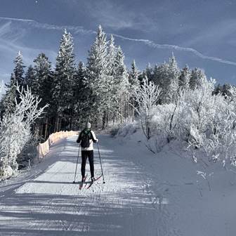 Genießen Sie tiefgehende Erholung und winterliche Aktivitäten in Ihrem Urlaub Langläufer in Winterlandschaft
