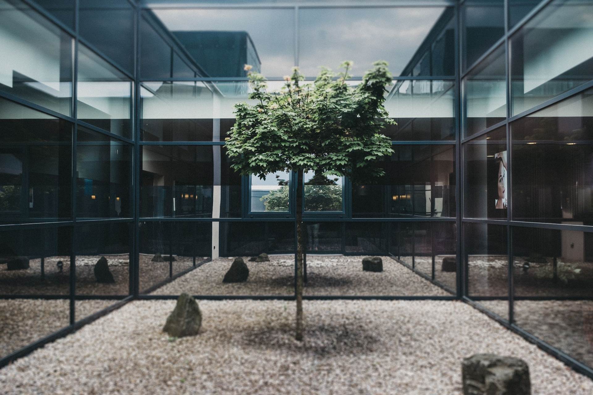 Innenhof mit Baum