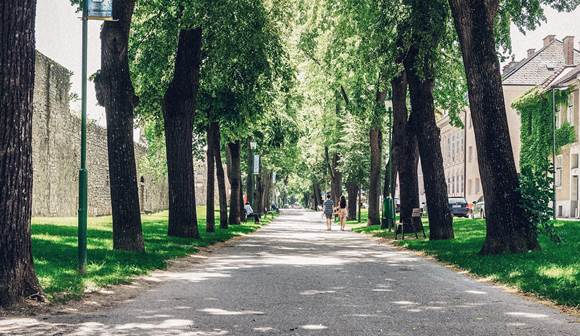 Machen Sie einen Tagesausflug in eine der nahegelegenen Städte Allee in einer Stadt