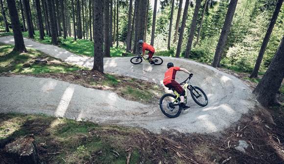 Auf anspruchsvollen Mountainbike-Touren geht‘s über Berg und Tal, bis ins Gebirge hinein Mountainbiker im Wald