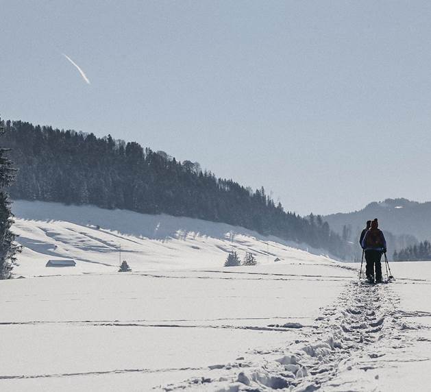 Erleben Sie winterliche Slow Motion beim Winterwandern in Niederösterreich Schneeschuhwanderer in Winterlandschaft
